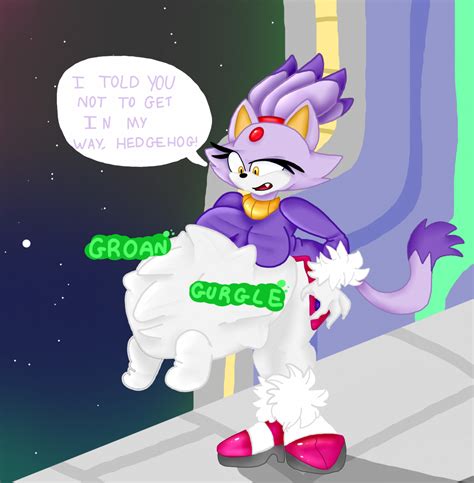 blaze the cat rule 34|Blaze.